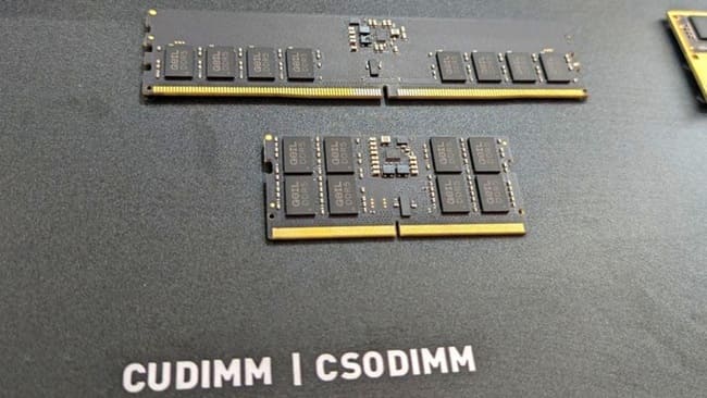 یک ماژول CUDIMM