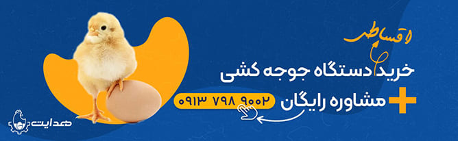 خرد دستگاه جوجه کشی