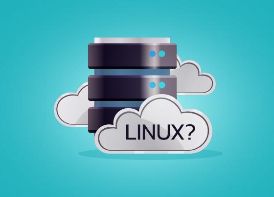 سرور لینوکس با سرور ویندوزی چه تفاوت‌هایی دارد؟
