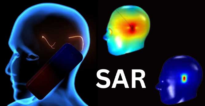 تاثیر SAR گوشی روی سر