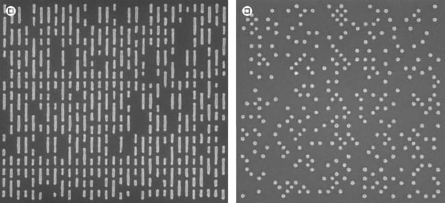 دقت بسیار بالای فناوری ساخت Substrate در ابعاد یک نانومتری