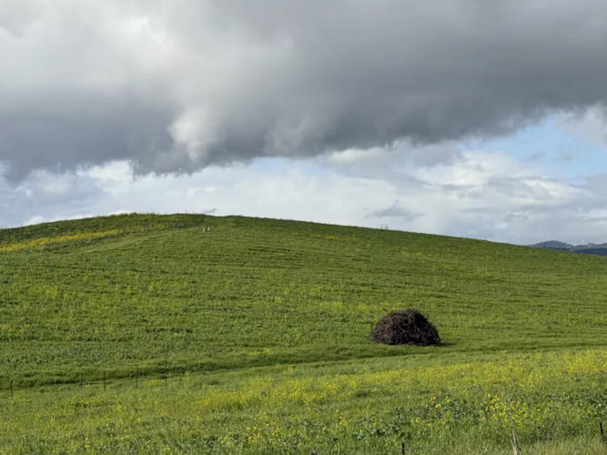 والپیپر Bliss 
