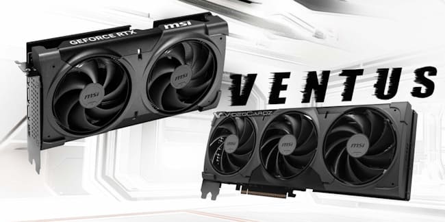 کارت گرافیک Ventus Black