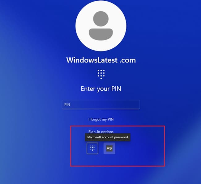 باگ ویندوز 11