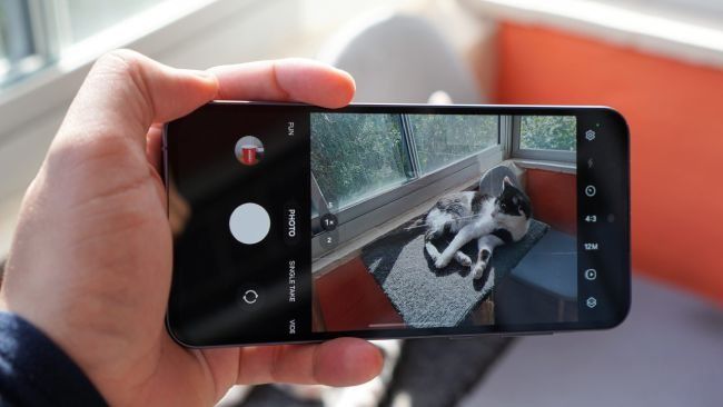 گوشی گلکسی A55