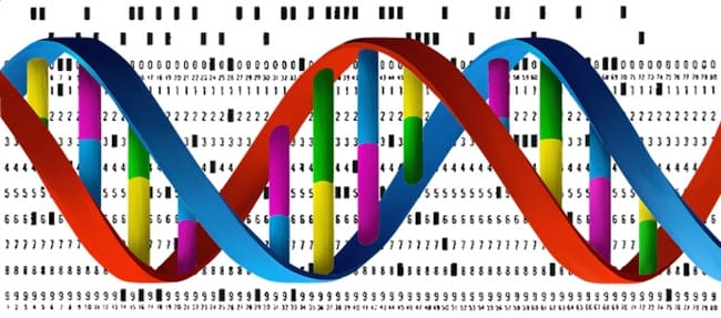 یک رشته DNA