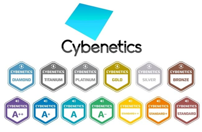 معرفی استاندارد Cybenetics