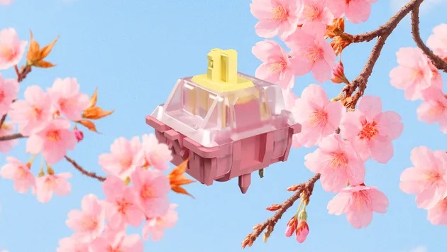 MX Blossom