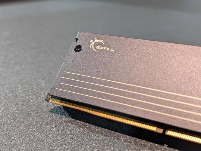 لوگوی جی اسکیل در رم MasterDIMM