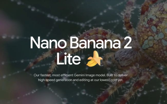 nanob-2.jpg