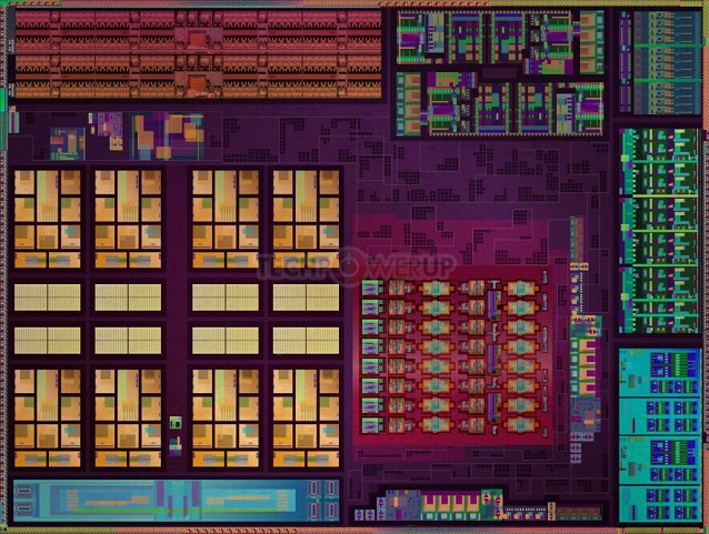 111-AMD-01.jpg