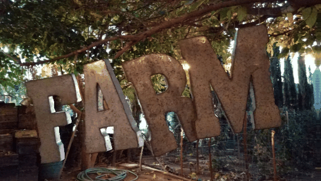 معایب دوربین های چندگانه