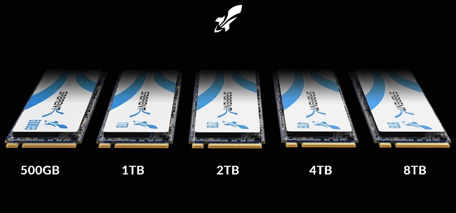 first-nvme-8tb-ssd-drive-1.jpg