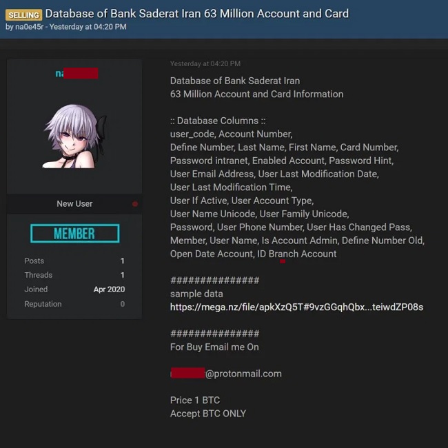sader1.jpg