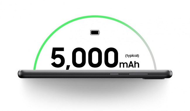 6566656.jpg