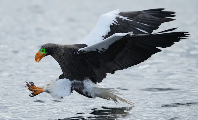 دوربین A1 سونی