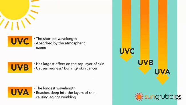 uv-segments.jpg