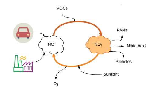Simplified-cycle-of-NO-and-NO2.png