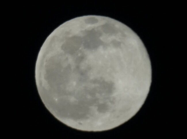 a7r-iii.jpg