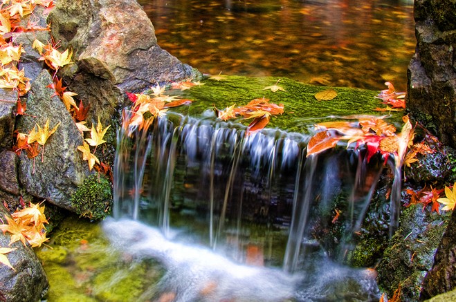 ژست عکاسی در پاییز دونفره