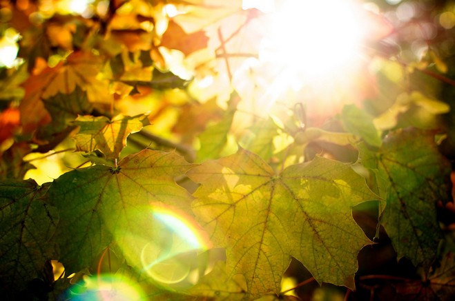 ساعت مناسب عکاسی در پاییز