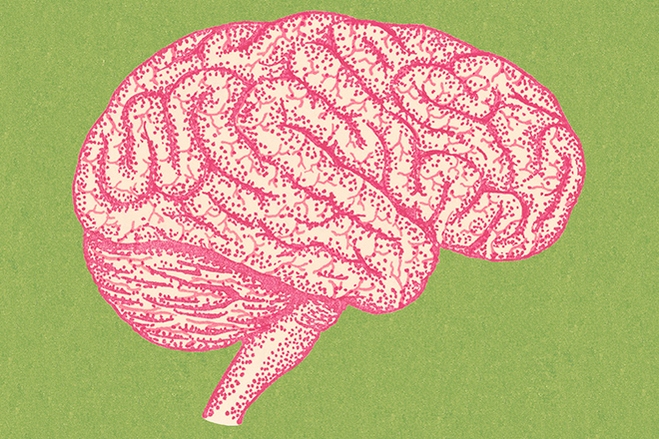 kid-brains-inline.jpg