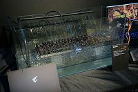 nas2-jpg