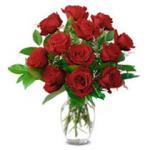 آواتار zp66