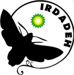 آواتار irdadeh