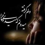 آواتار safariba