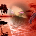 آواتار nazdiktarazsaye